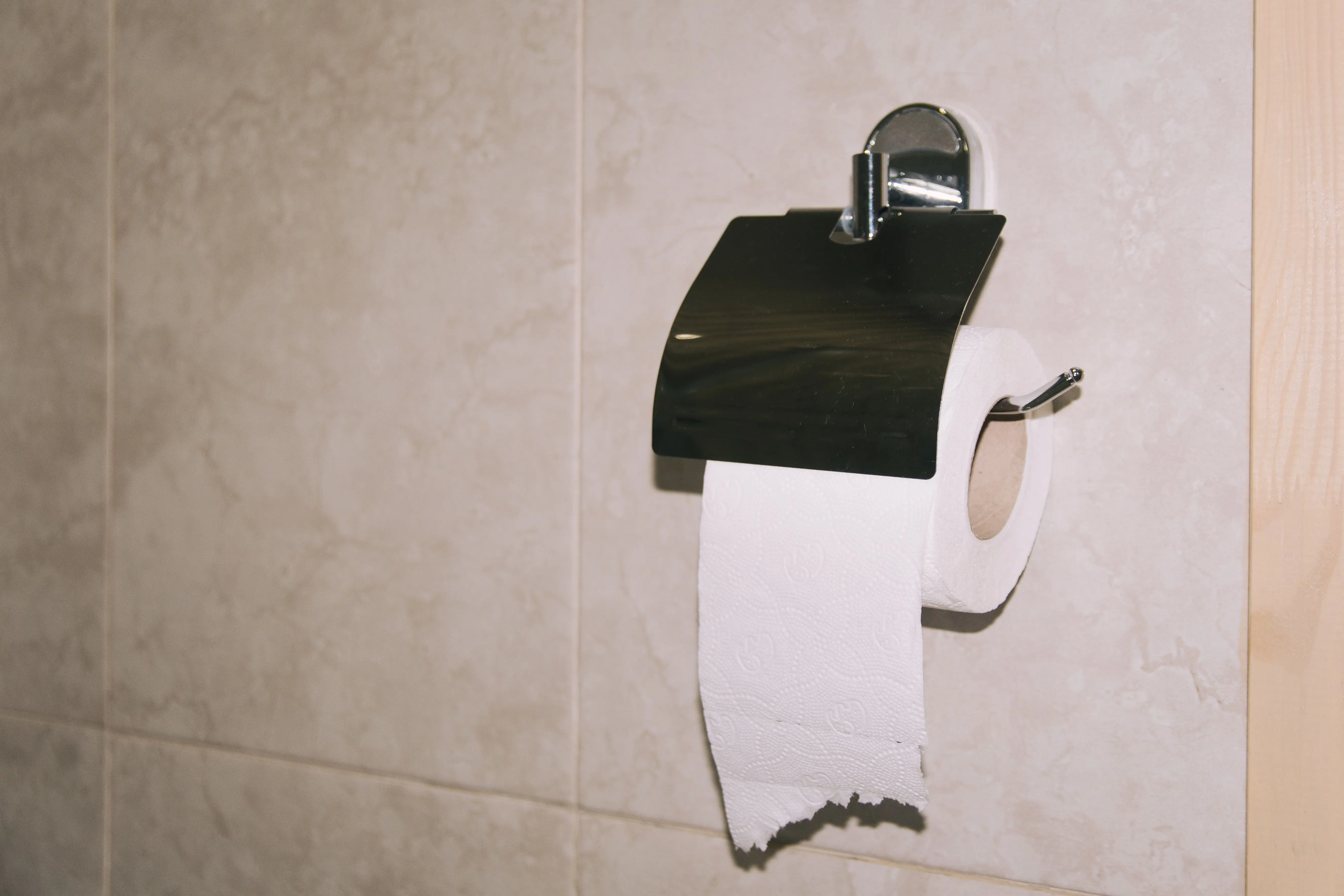 toilet flapper not sealing Stainless steel toilet paper holder with a roll in a tiled bathroom.
