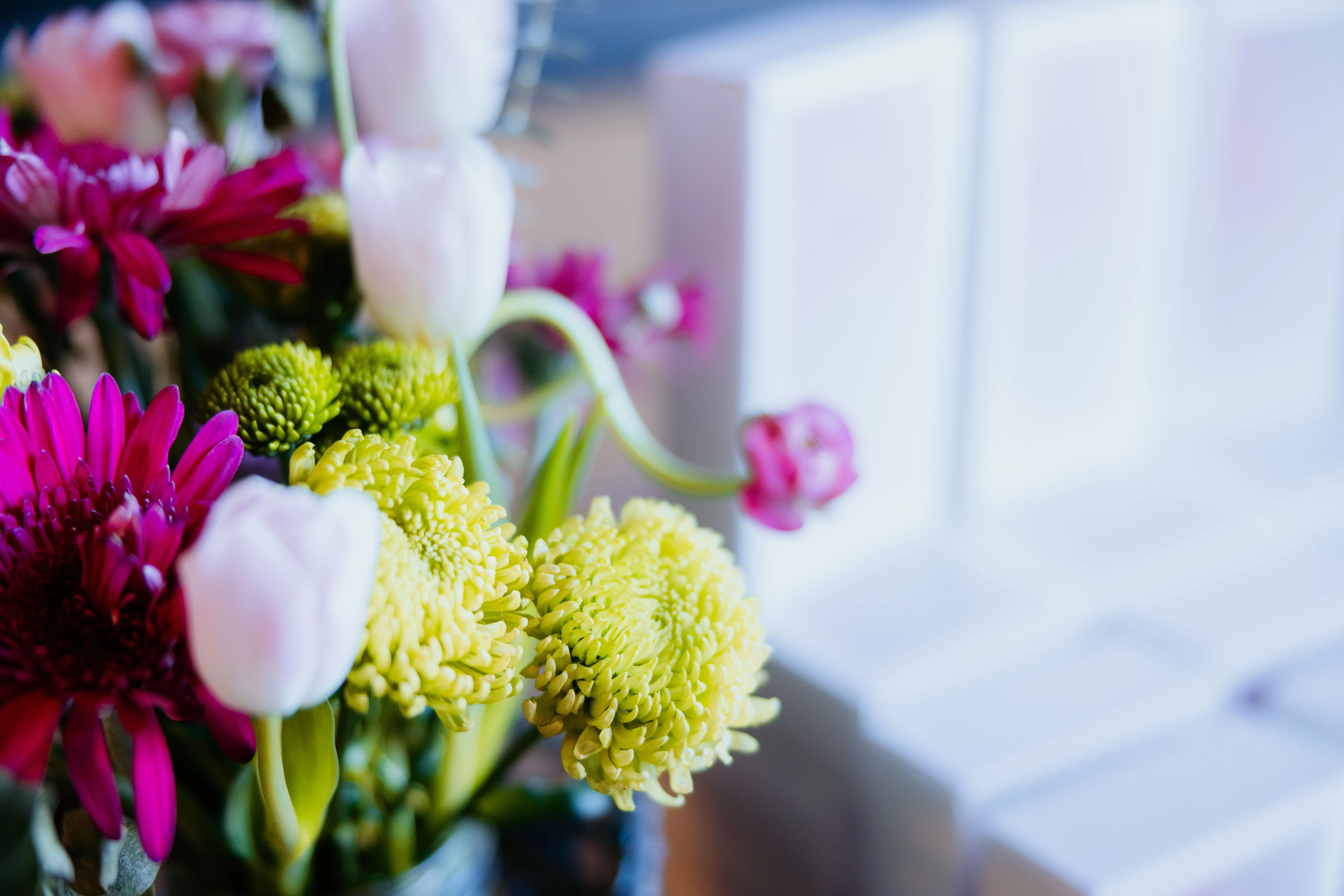 gerbera flower bouquet A vivid bouquet featuring pink gerberas, white tulips, and yellow chrysanthemums.