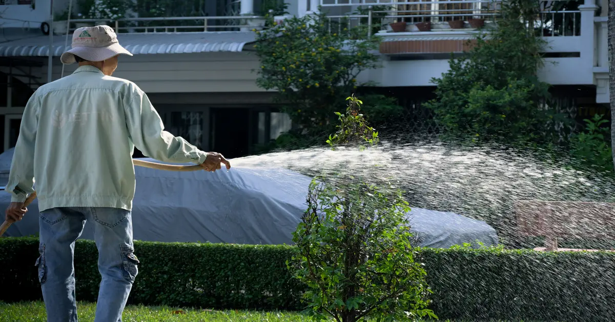 ant spray outdoor