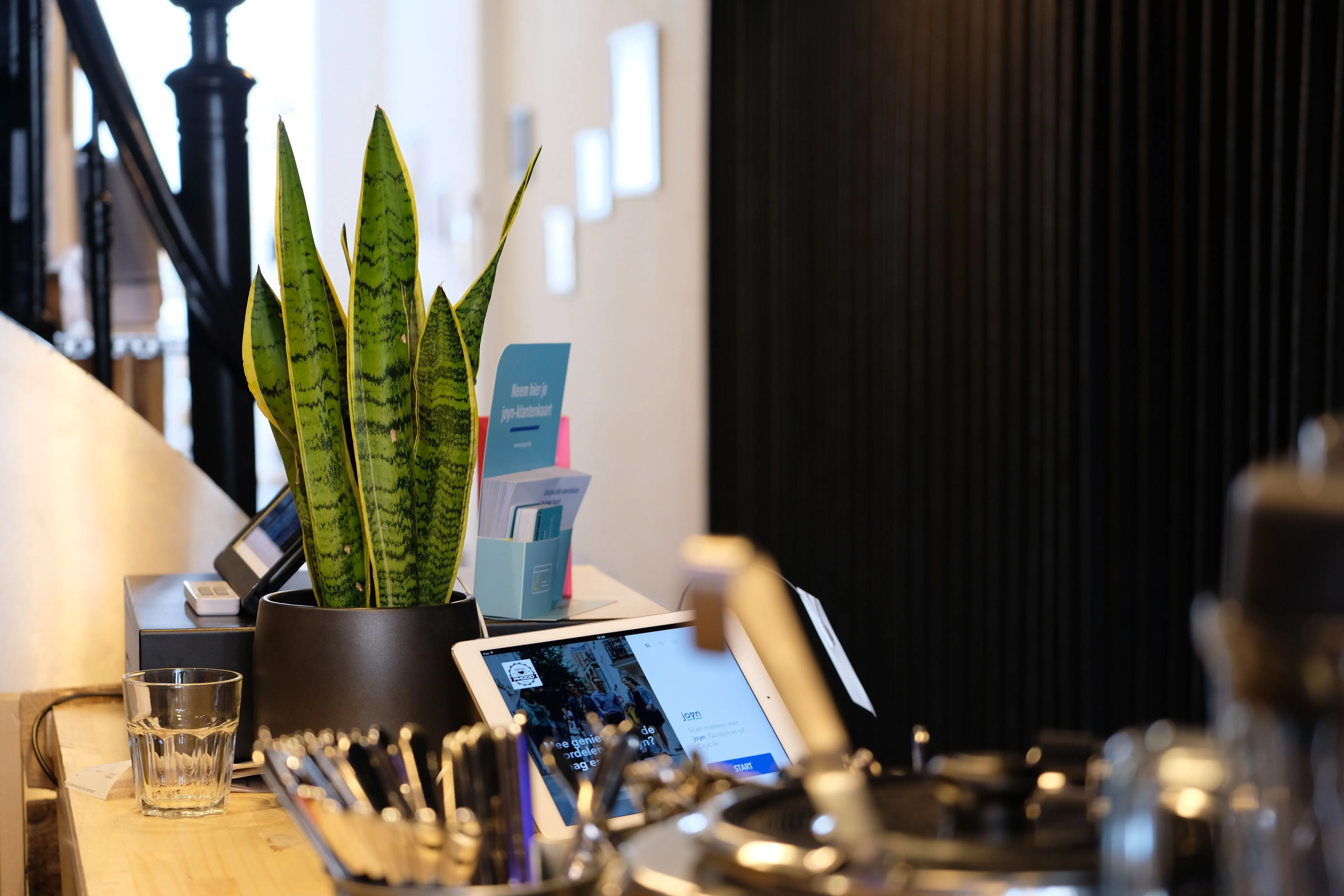 big snake plant A sleek reception desk featuring a snake plant, glassware, and tech gadgets for a contemporary feel.