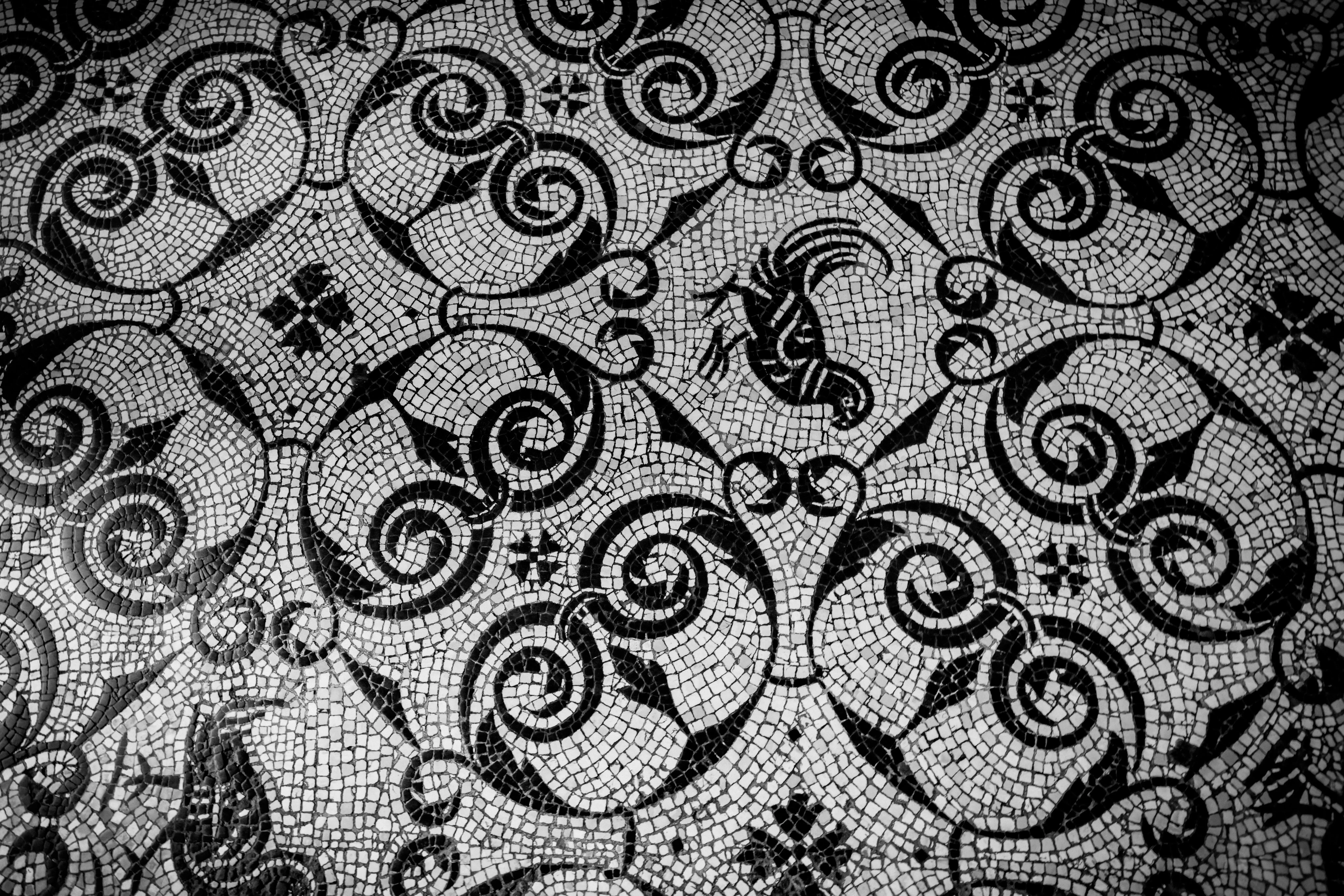 black subway tile Detailed black and white mosaic floor capturing ancient Roman art with intricate patterns and designs.