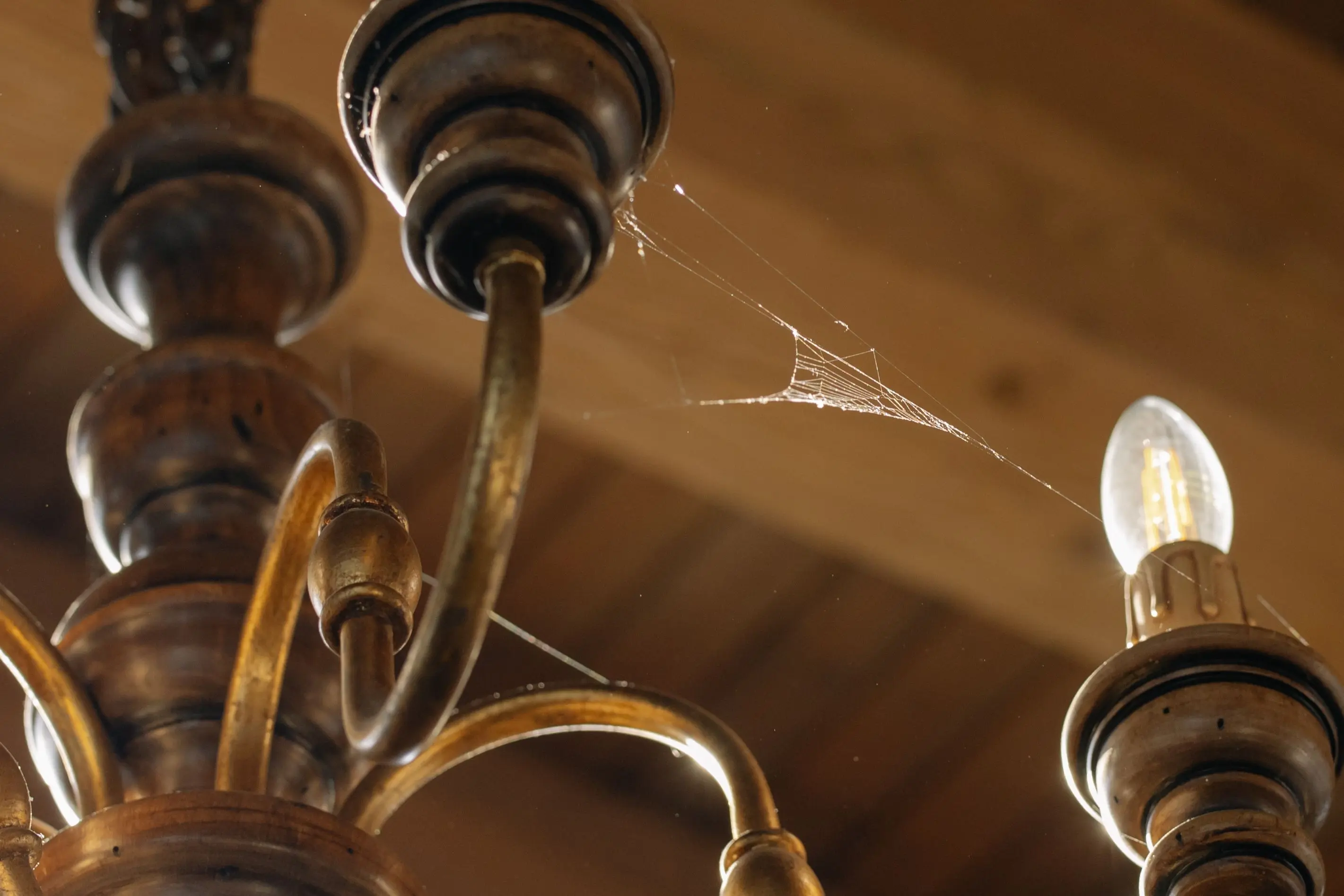 farmhouse light fixture Close-up of an antique chandelier with cobwebs, showcasing intricate details and light bulbs.