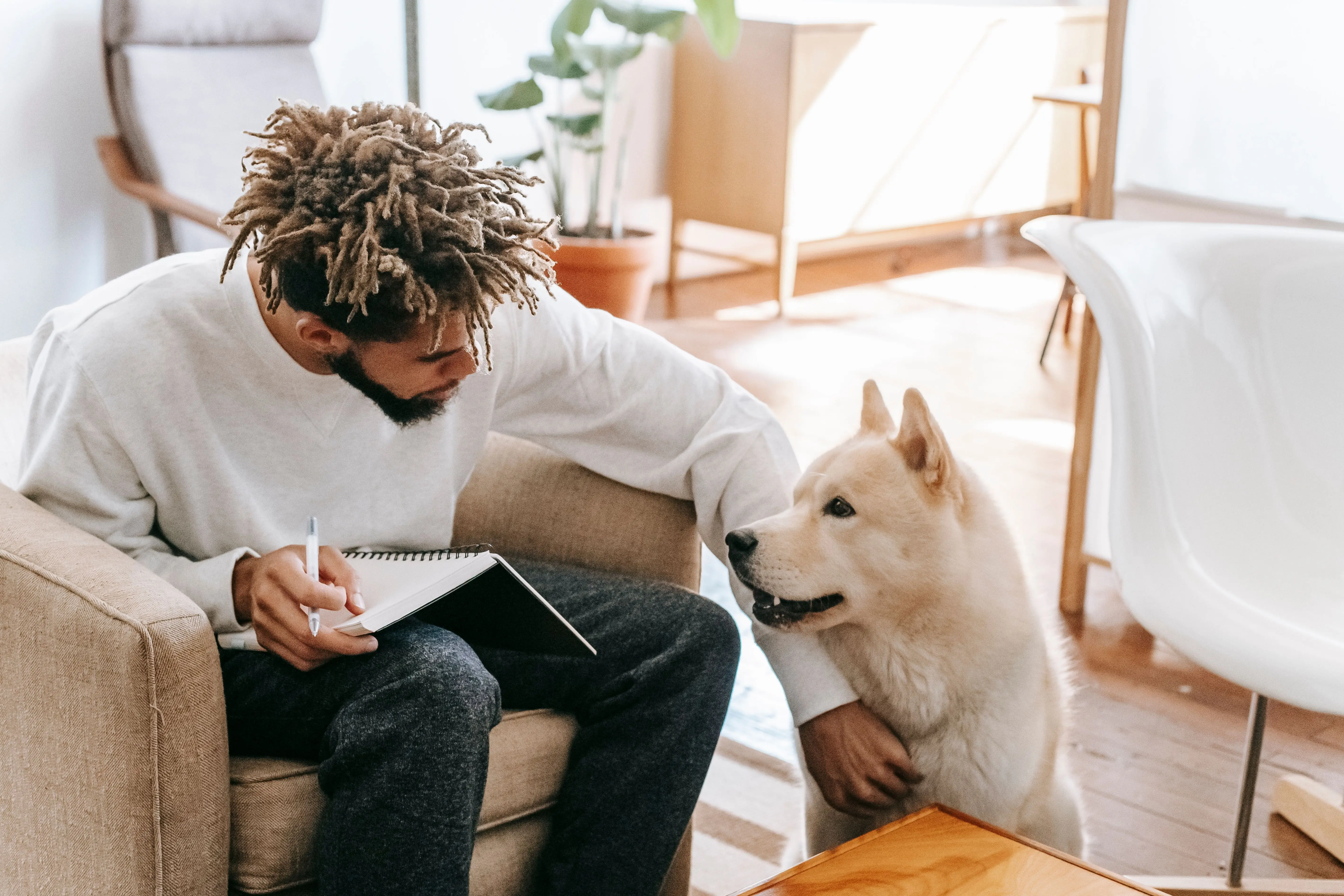 does coconut oil kill fleas African American male with dreadlocks sitting in armchair with notepad and pen while stroking Akita Inu dog in sunny living room
