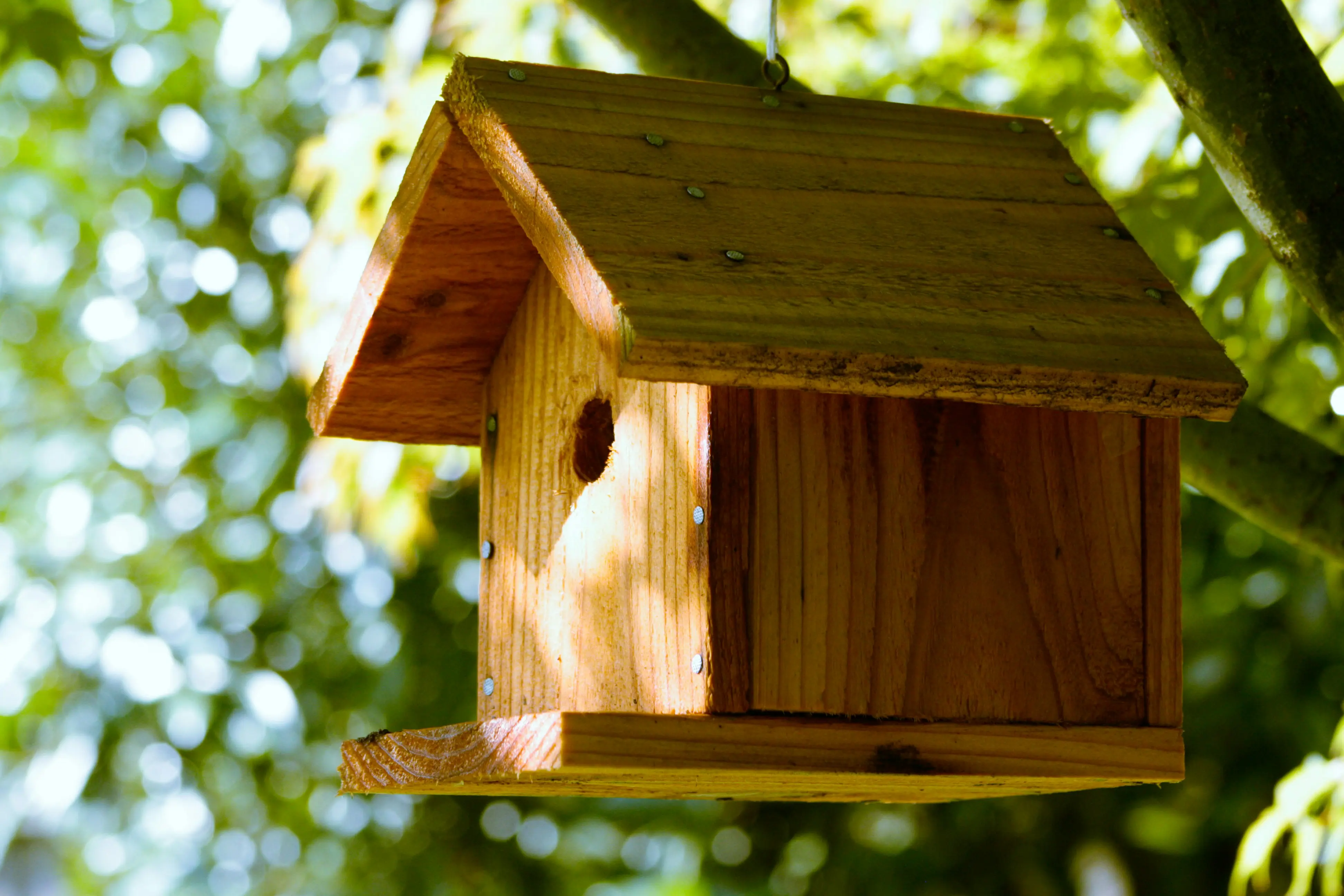 Birdhouse Kit : 5 Amazing Builds for Happy Birds !