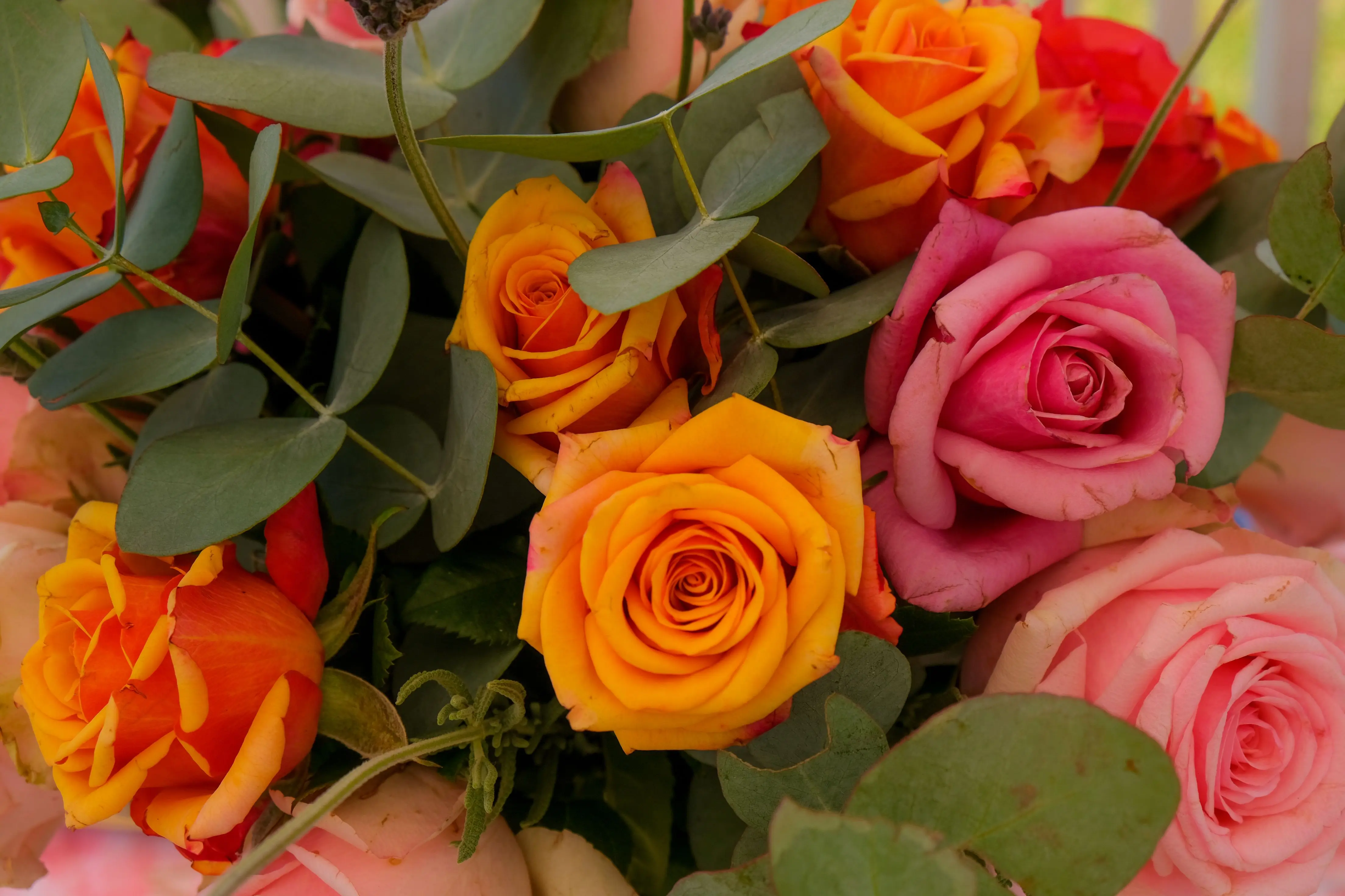 big bouquet of roses A vibrant close-up of a colorful rose bouquet with greenery, perfect for floral inspiration.