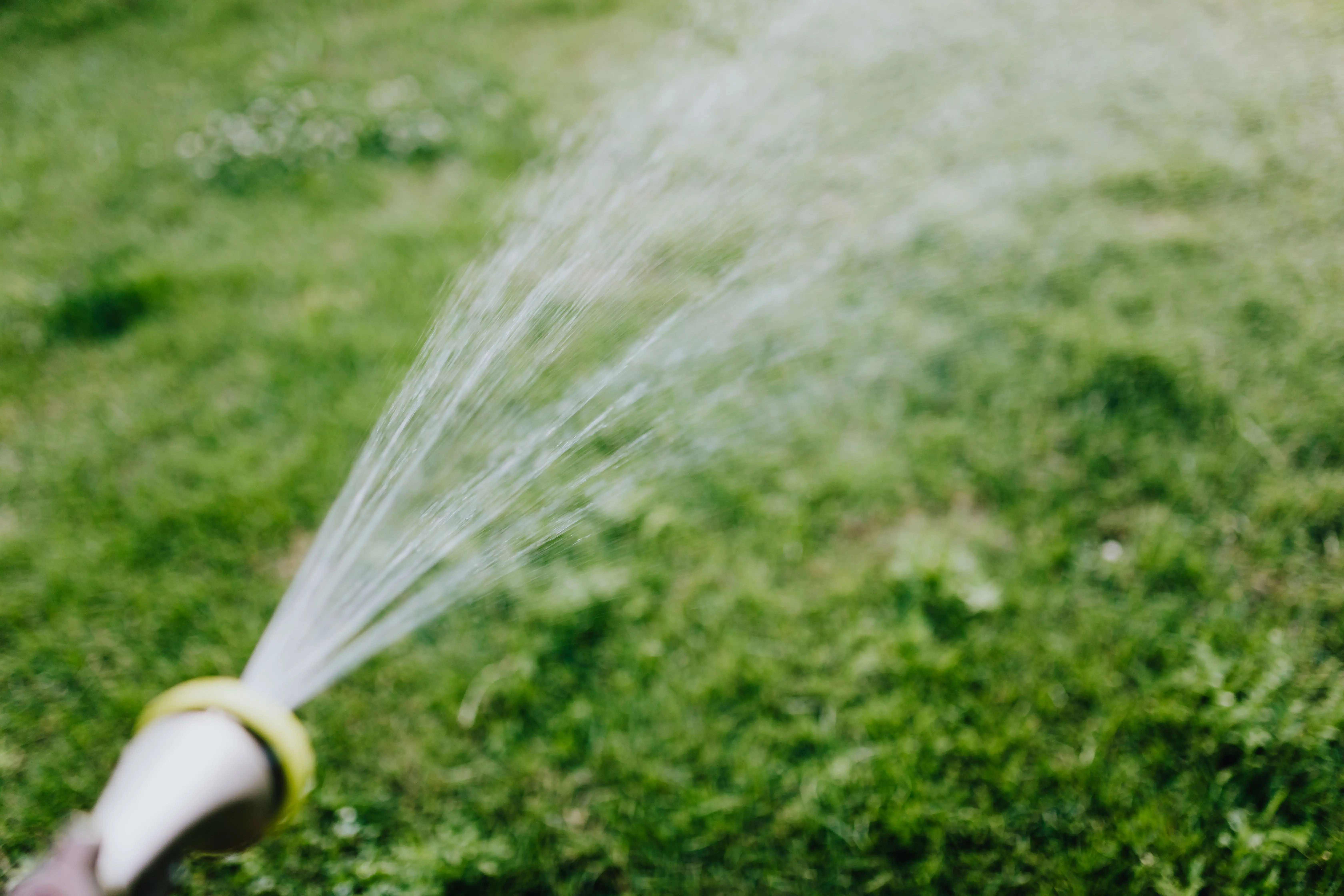 grass seed for sun and shade A garden hose sprays water onto a lush green lawn on a sunny day.